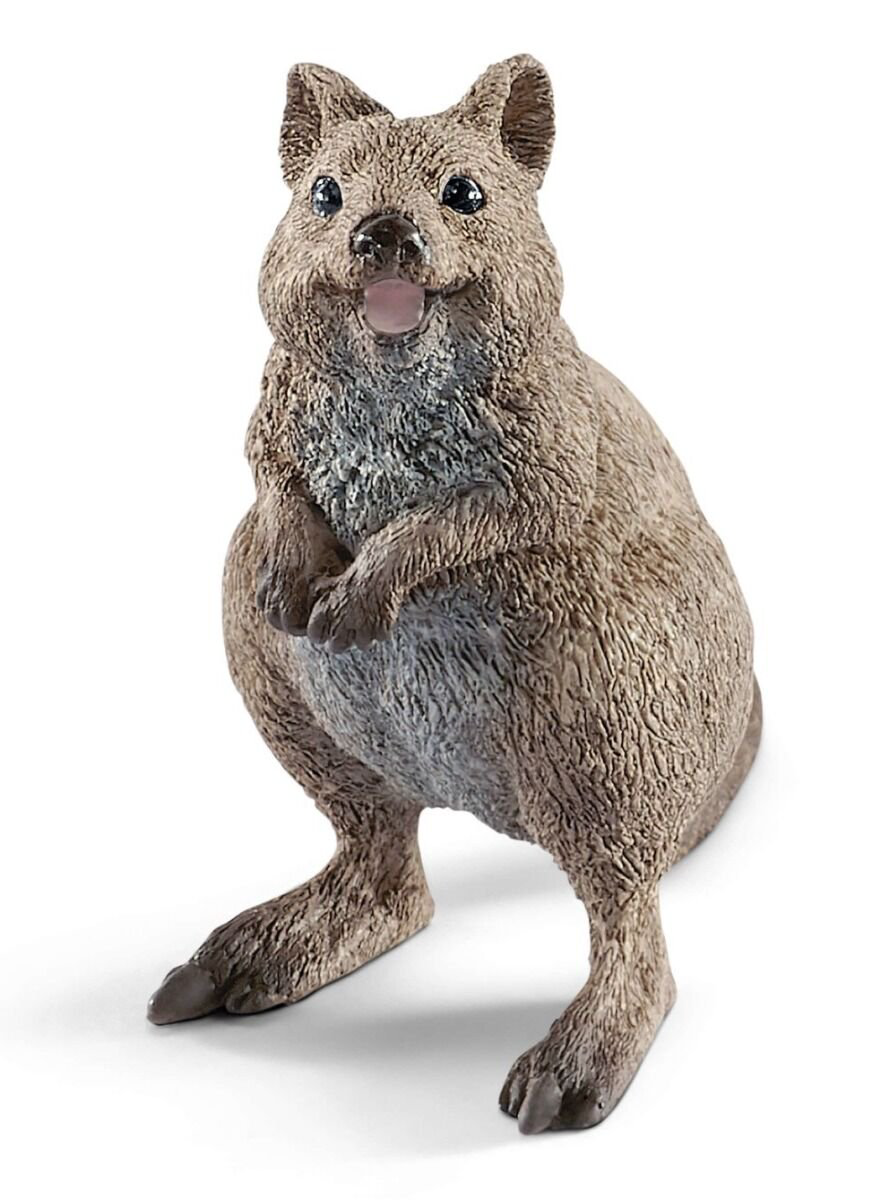 Фигурка Schleich Короткохвостый кенгуру 14823 купить,NaN