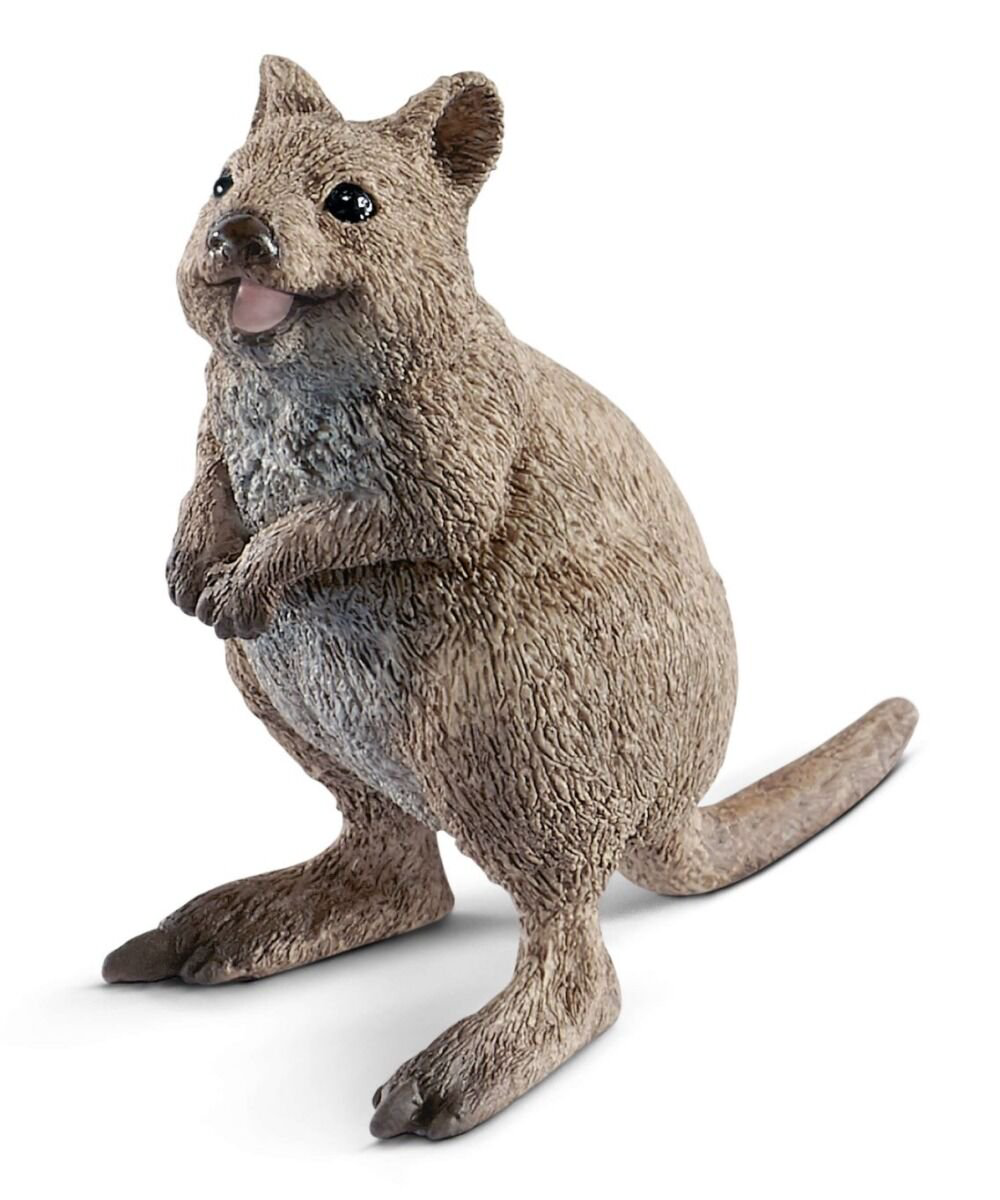 Фигурка Schleich Короткохвостый кенгуру 14823 купить,NaN