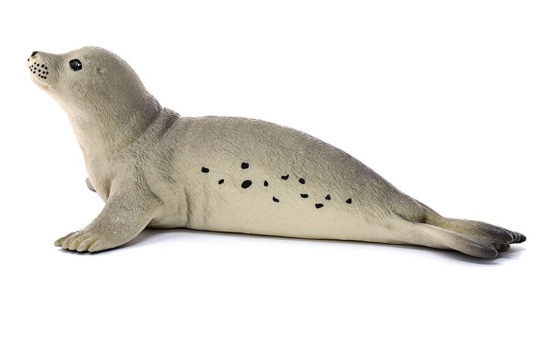 Фигурка Schleich Детеныш тюленя 14802 купить,NaN