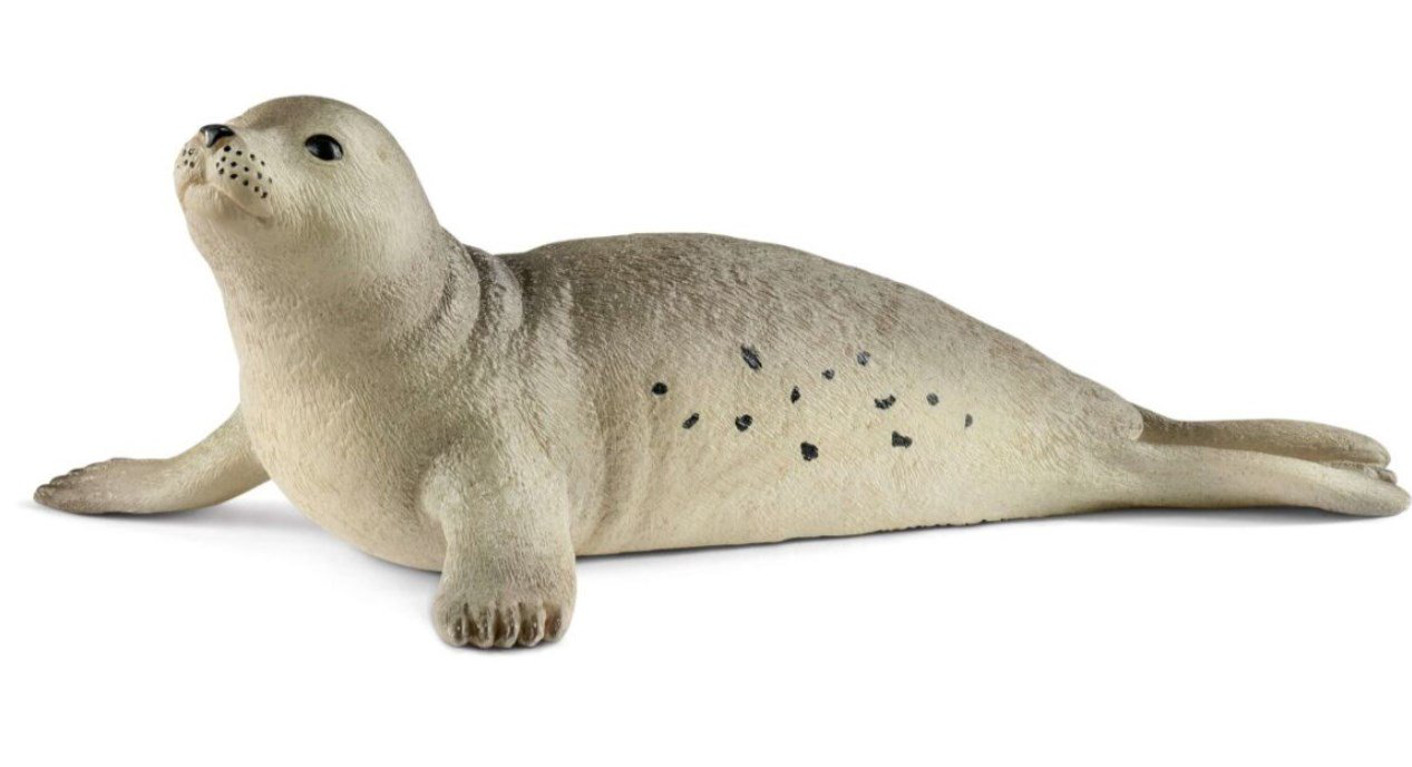 Фигурка Schleich Детеныш тюленя 14802 купить,NaN