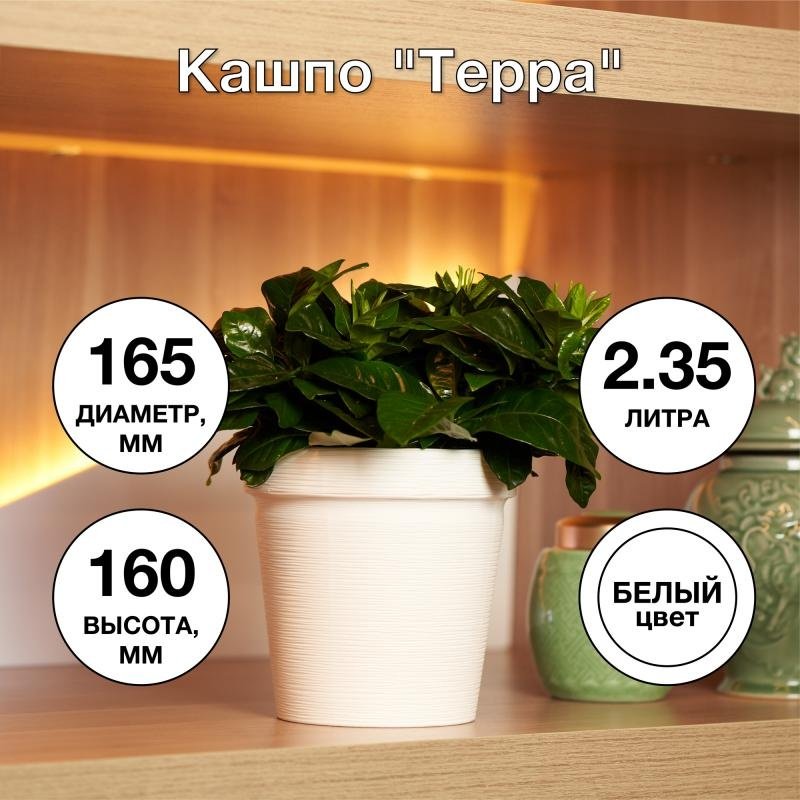 Кашпо Терра, пластик купить,NaN
