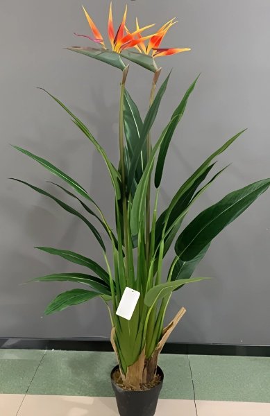 Цветок ZETA стирлингия 130 см, Y8498-20-2-3P купить,NaN
