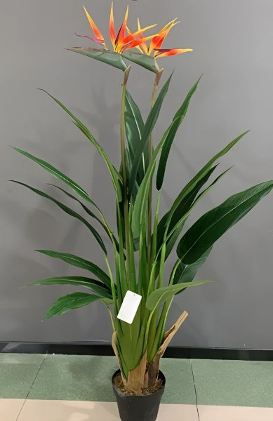 Цветок ZETA стирлингия 130 см, Y8498-20-2-3P купить,NaN