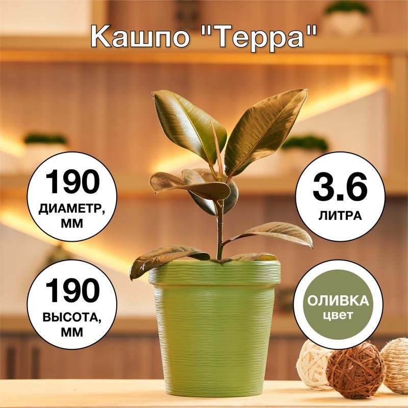 Кашпо Терра, пластик купить,NaN