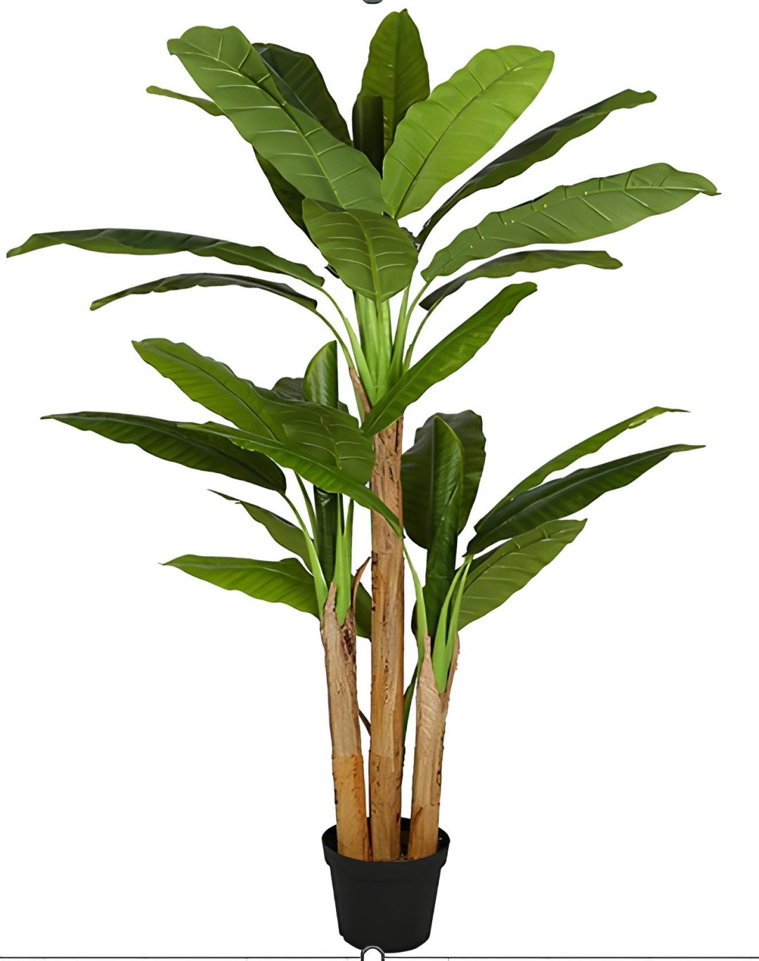 Дерево ZETA банан 230 см, Y8328-30-3TS купить,NaN