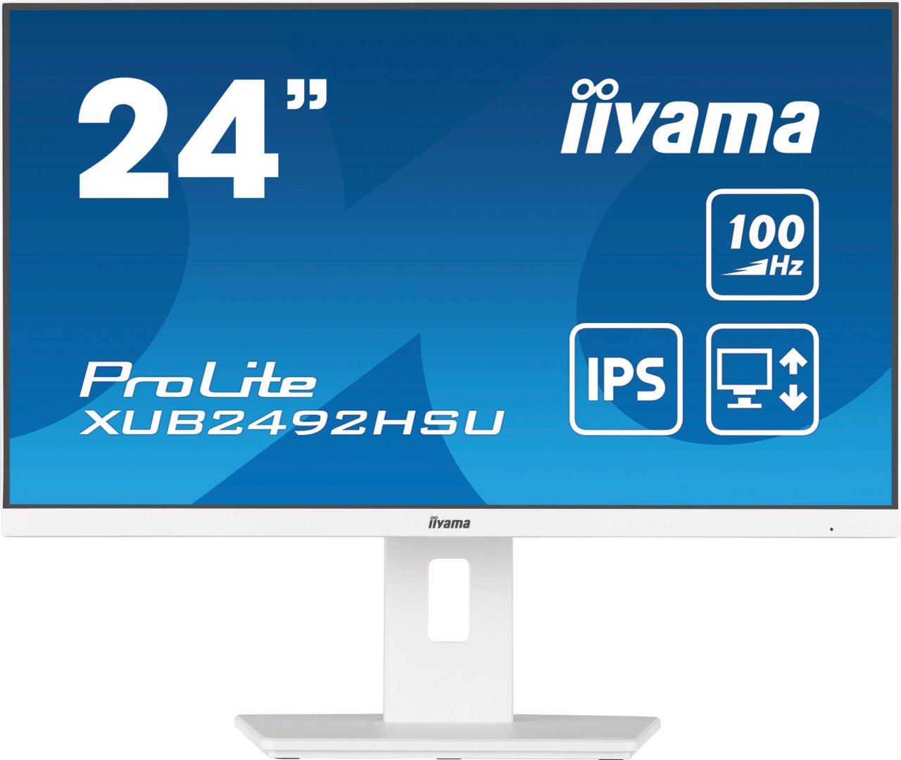 Монитор 23.8" Iiyama XUB2492HSU-W6 белый купить,NaN