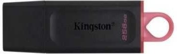 Kingston DataTraveler Exodia 256GB черный-розовый купить,16030