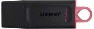 Kingston DataTraveler Exodia 256GB черный-розовый купить,16030