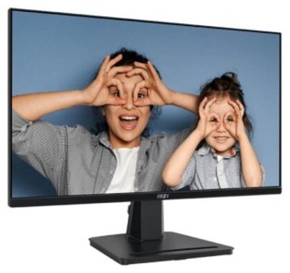 Монитор 24.5" MSI MP251P черный купить,NaN
