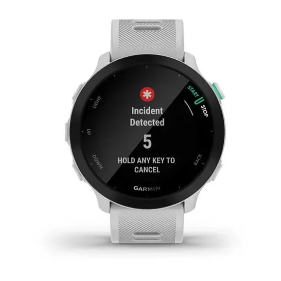 Смарт-часы Garmin Forerunner 55 010-02562-11  26.3mm White купить,0