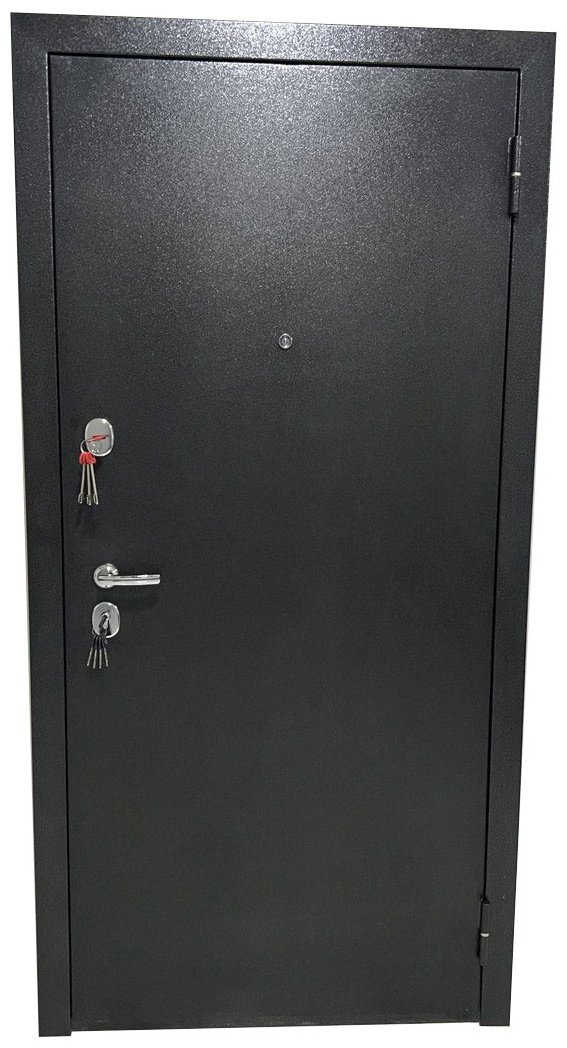 Входная дверь Samruk Mebel DORA DVR001004 2050x960 мм, железо, правая