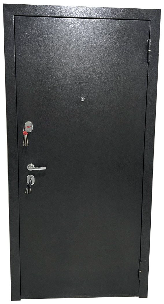 Входная дверь Samruk Mebel DORA DVR001004 2050x960 мм, железо, правая купить,NaN