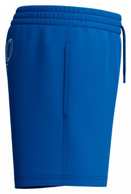 Шорты Speedo синий