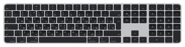 Клавиатура Apple Magic Keyboard with Touch ID and Numeric Keypad серый купить,NaN
