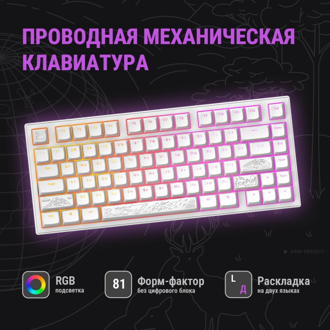Клавиатура DARK PROJECT ALU81A Terra Nostra белый - ForteMarket Клавиатура DARK PROJECT ALU81A Terra Nostra белый купить,77776