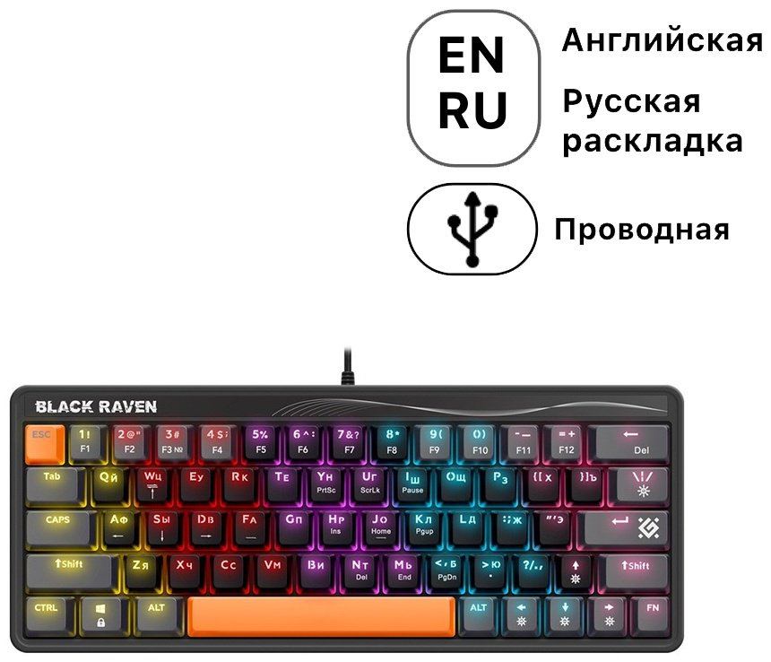 Клавиатура Defender Black Raven GK-417 черный - ForteMarket Клавиатура Defender Black Raven GK-417 черный купить,10200
