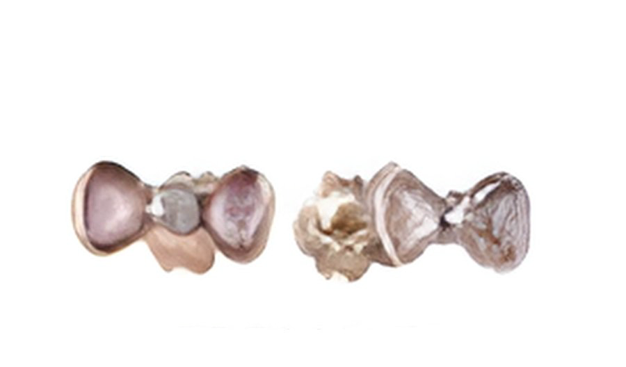 Серьги Constella 5117 0,98гр купить,NaN