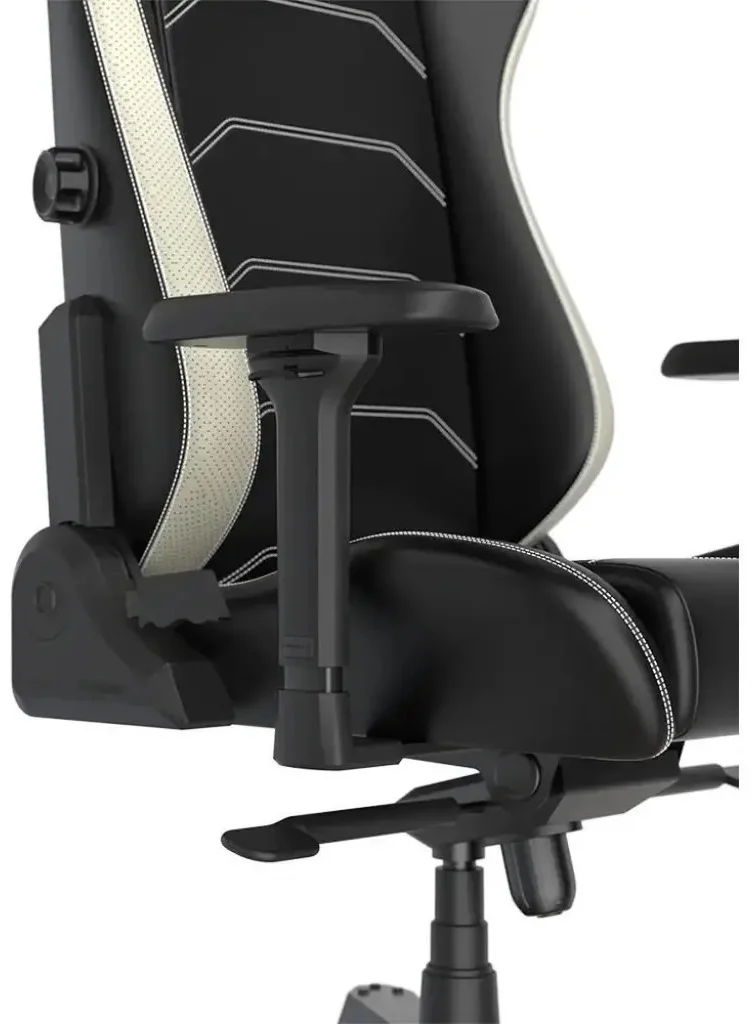 Игровое кресло DX Racer Master MAS-I239S-NW-A3 Back White