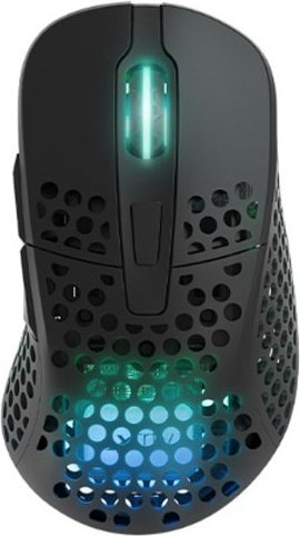 Мышь Xtrfy M4 RGB Wireless черный купить,NaN