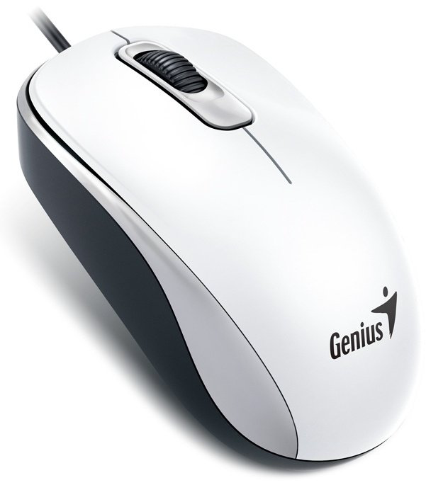 Мышь Genius DX-110 белый купить,1840