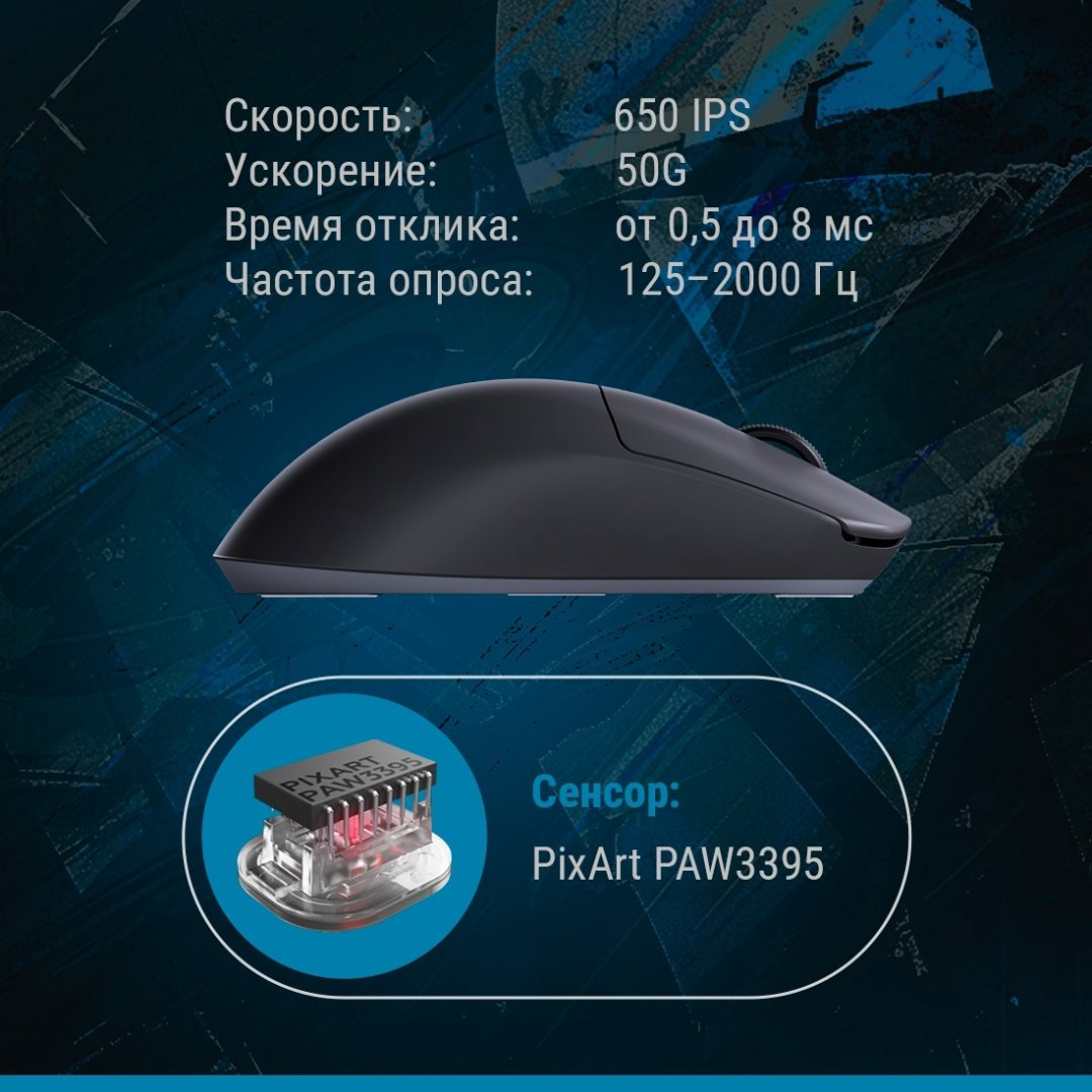 Мышь DARK PROJECT DPP_Novus_BG черный - ForteMarket Мышь DARK PROJECT DPP_Novus_BG черный купить,40753