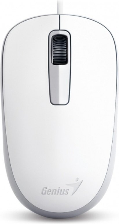 Мышь Genius DX-125 белый купить,1756