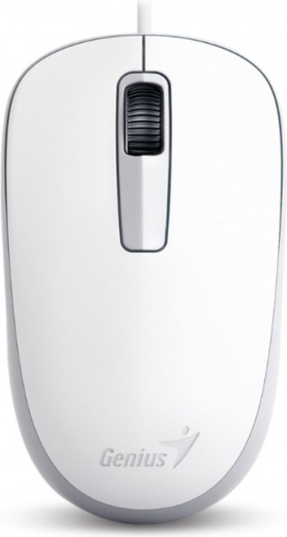 Мышь Genius DX-125 белый купить,1756
