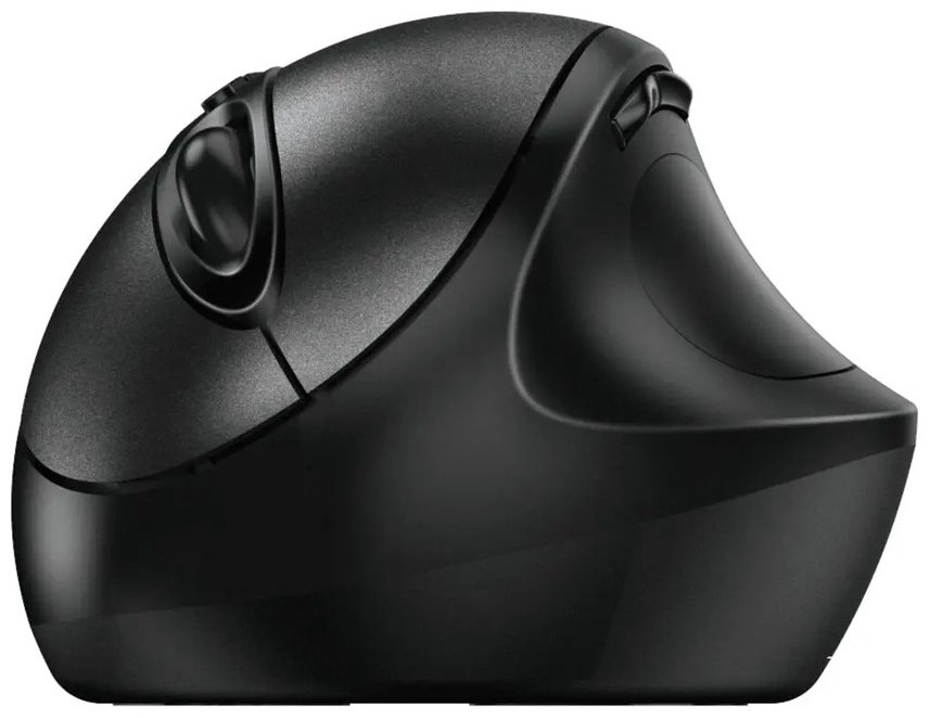 Мышь Genius 8300S черный - ForteMarket Мышь Genius 8300S черный купить,6123