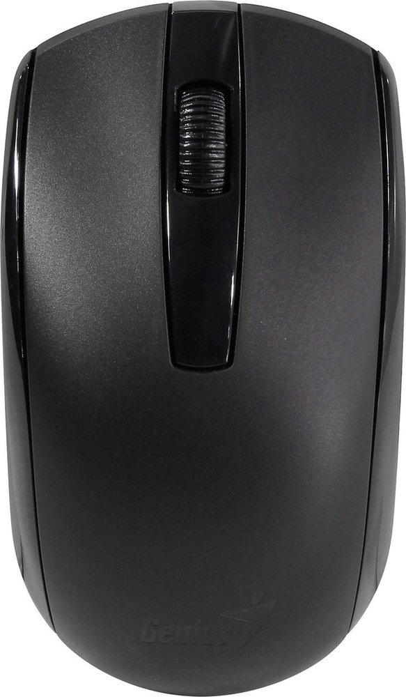 Мышь Genius ECO-8100 черный