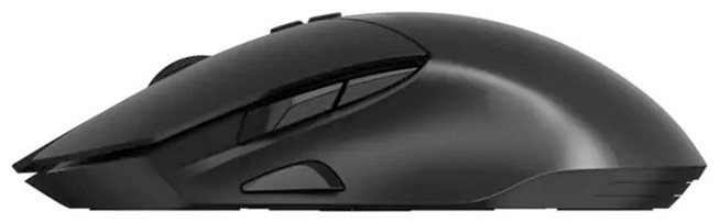 Мышь Rapoo V30L (12789) черный купить,17990