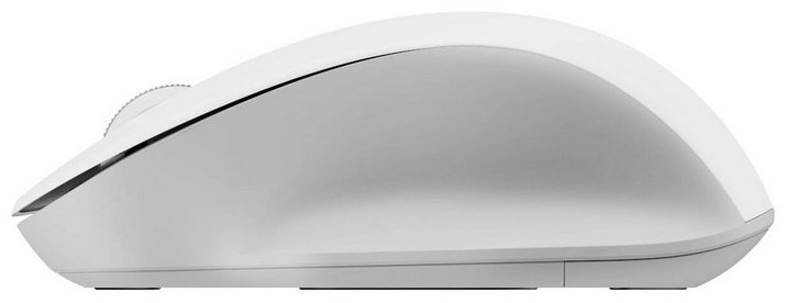 Мышь Xiaomi BHR9354GL белый купить,NaN