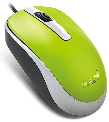 Мышь Genius DX-120 зеленый