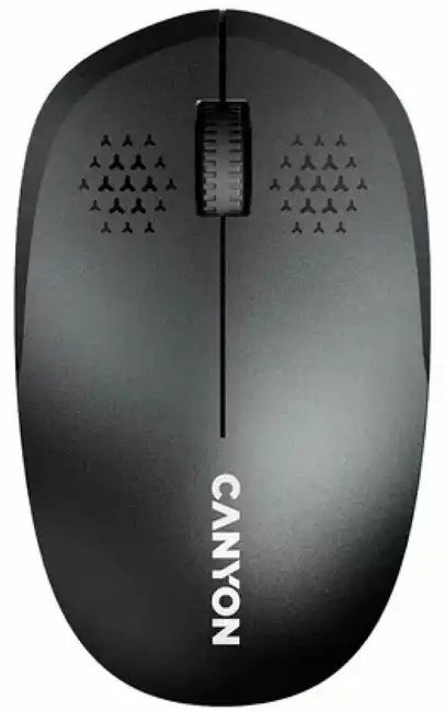 Мышь Canyon MW-04 черный купить,NaN