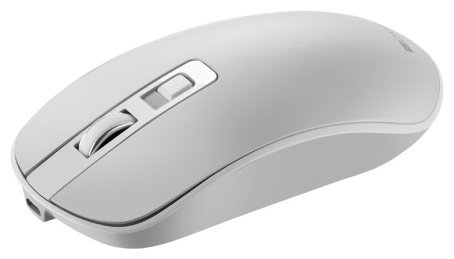 Мышь Canyon CNS-CMSW18PW белый купить,NaN