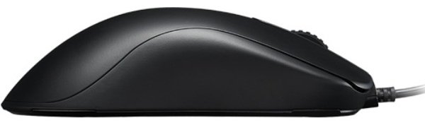 Мышь ZOWIE FK1+-B черный купить,NaN