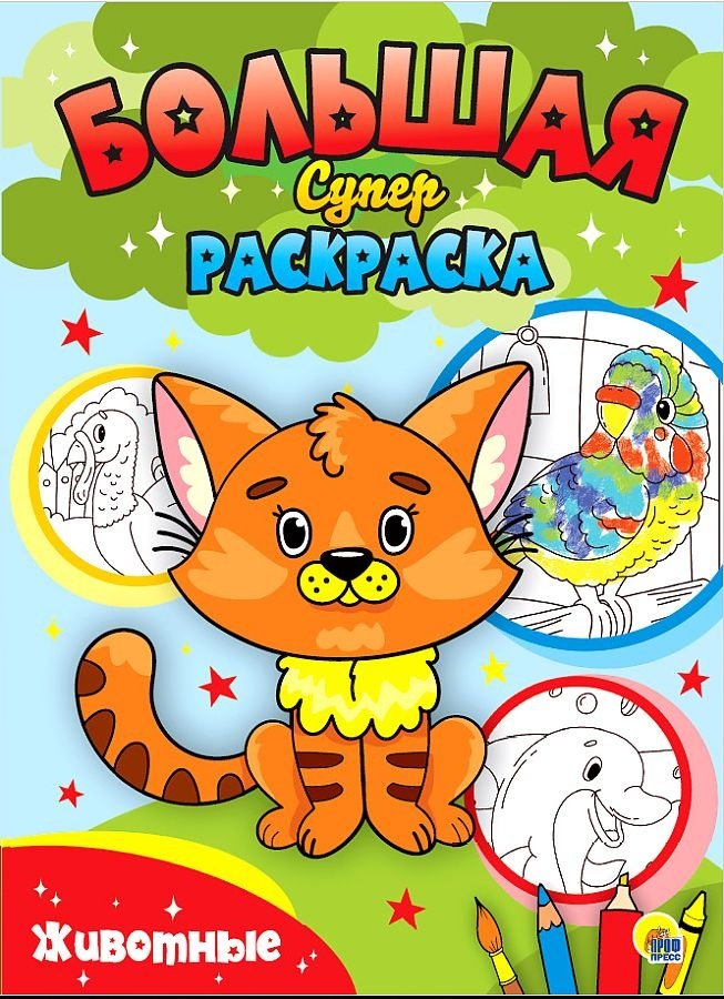 Раскраска Проф-Пресс 978-5-378-30668-8 купить,NaN