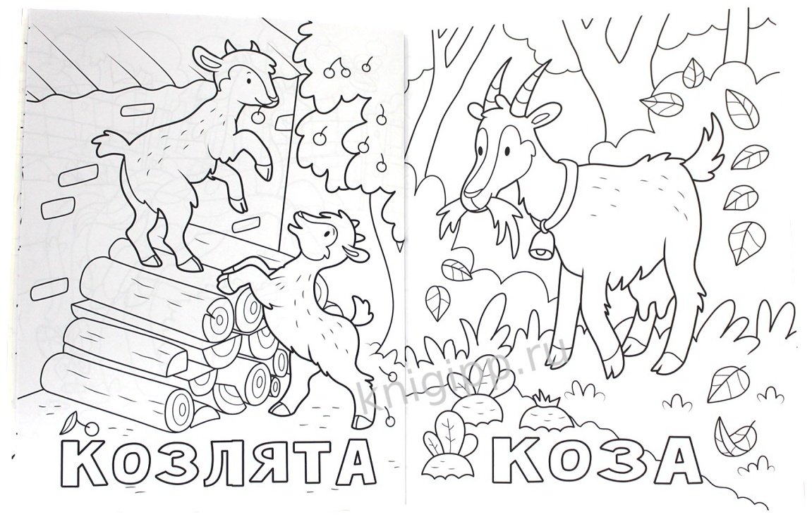 Раскраска Проф-Пресс Раскраска. 100 картинок домашних животных. 9785378310586 купить,NaN