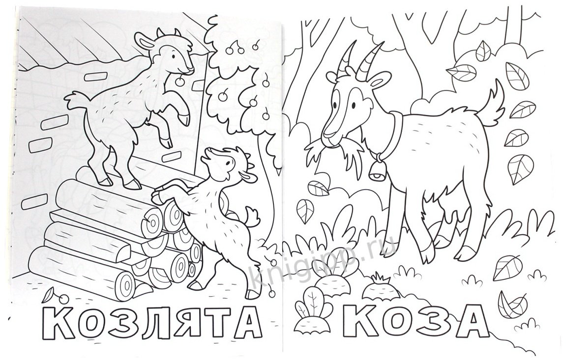 Раскраска Проф-Пресс Раскраска. 100 картинок домашних животных. 9785378310586 купить,NaN