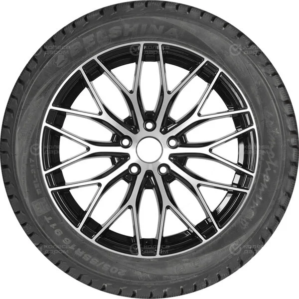 Шина легковая Белшина Бел-317 205/55 R16 91Т купить,NaN