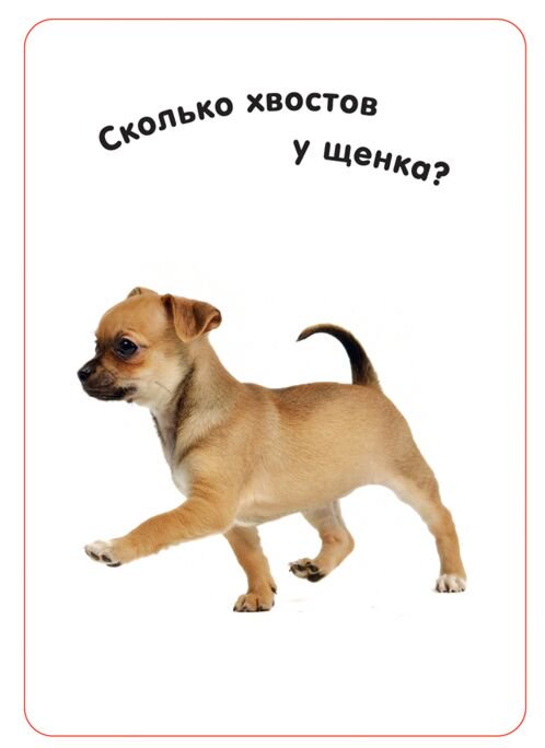 Развивающие карточки Росмэн умные карточки  изучаем цифры купить,NaN