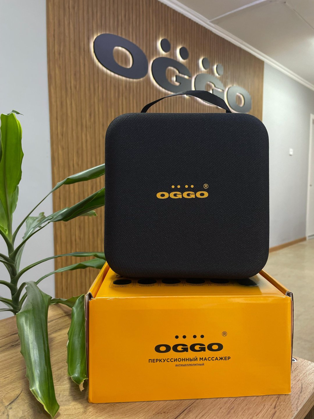 Перкуссионный массажер OGGO LMM103 ручной купить,9990