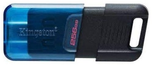 USB Flash карта Kingston Data Traveler 80M DT80M/256GB 256 Гб купить,NaN