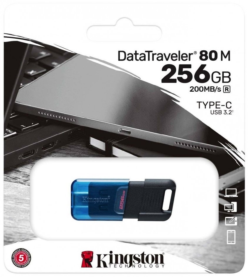 USB Flash карта Kingston Data Traveler 80M DT80M/256GB 256 Гб купить,NaN