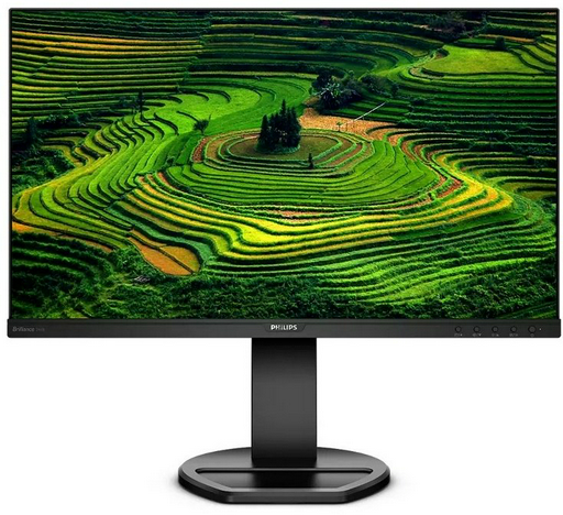 Монитор 23.8" Philips 241B8QJEB/01 черный
