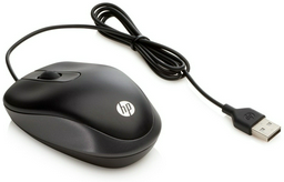 Мышь HP G1K28AA USB черный