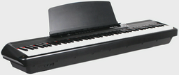 Цифровое пианино Pearl River P-60 черное