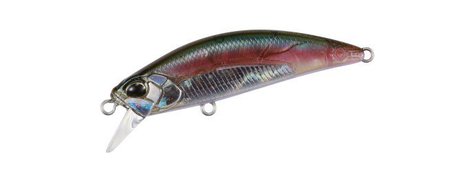 Воблер DUO Spearhead Ryuki Awabi Plate 60S DDH4035 купить,NaN