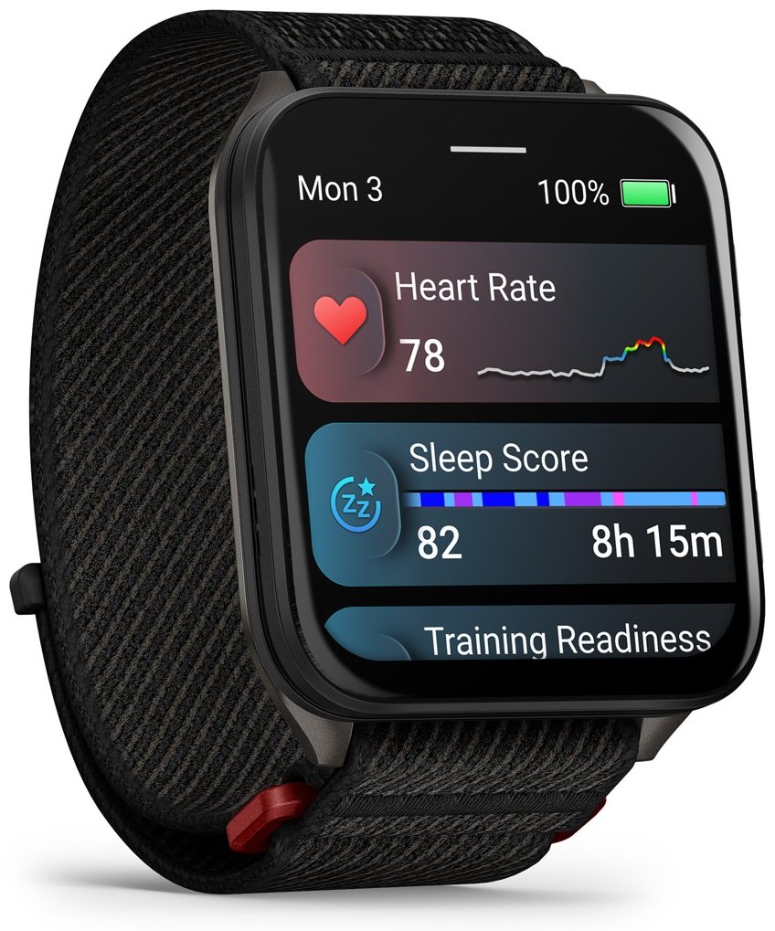 Смарт-часы Garmin VENU X1 46 мм черный-черный