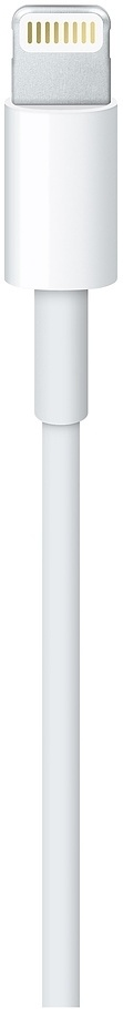 Кабель Apple Lightning to USB Cable MD819ZM/A 2 м белый  купить,NaN