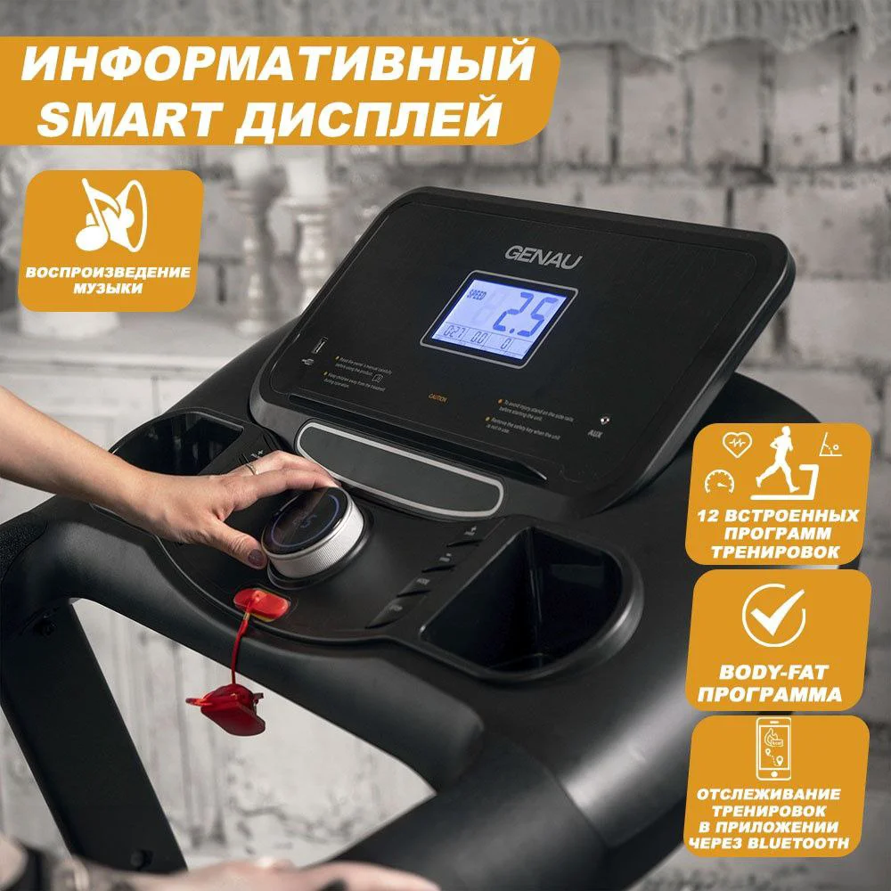Беговая дорожка Genau Everest D1000S Pro чёрная - ForteMarket Беговая дорожка Genau Everest D1000S Pro чёрная купить,0